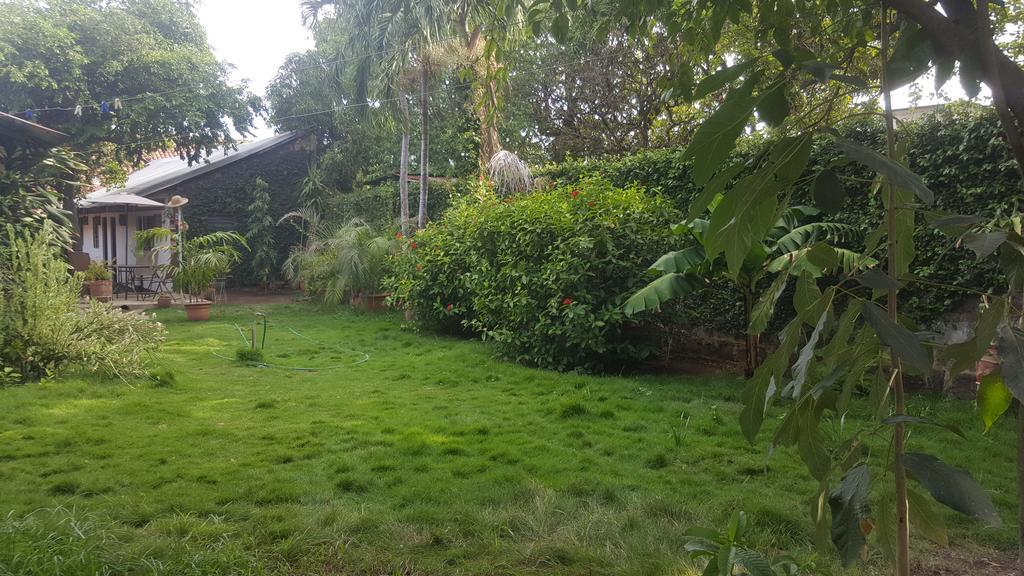 Hostal El Jardin Leon Bagian luar foto