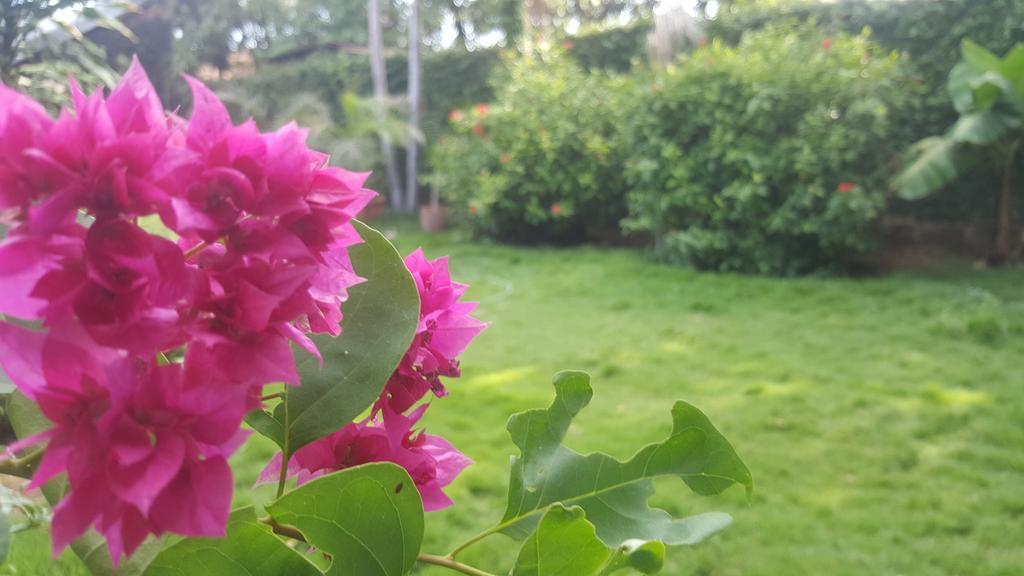 Hostal El Jardin Leon Bagian luar foto