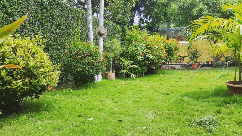 Hostal El Jardin Leon Bagian luar foto