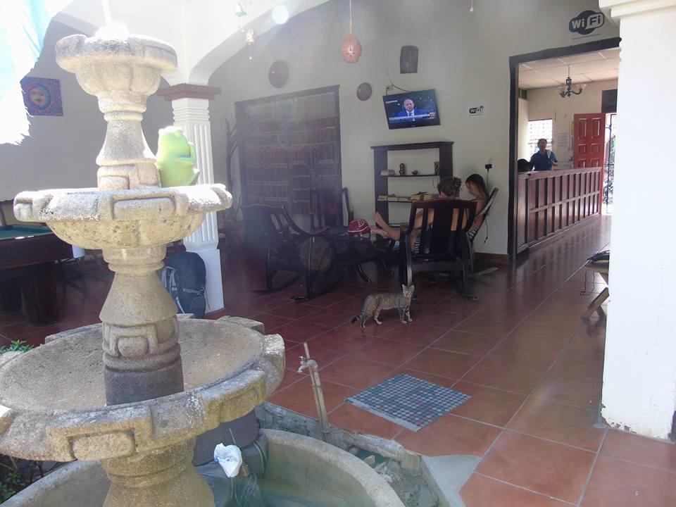 Hostal El Jardin Leon Bagian luar foto